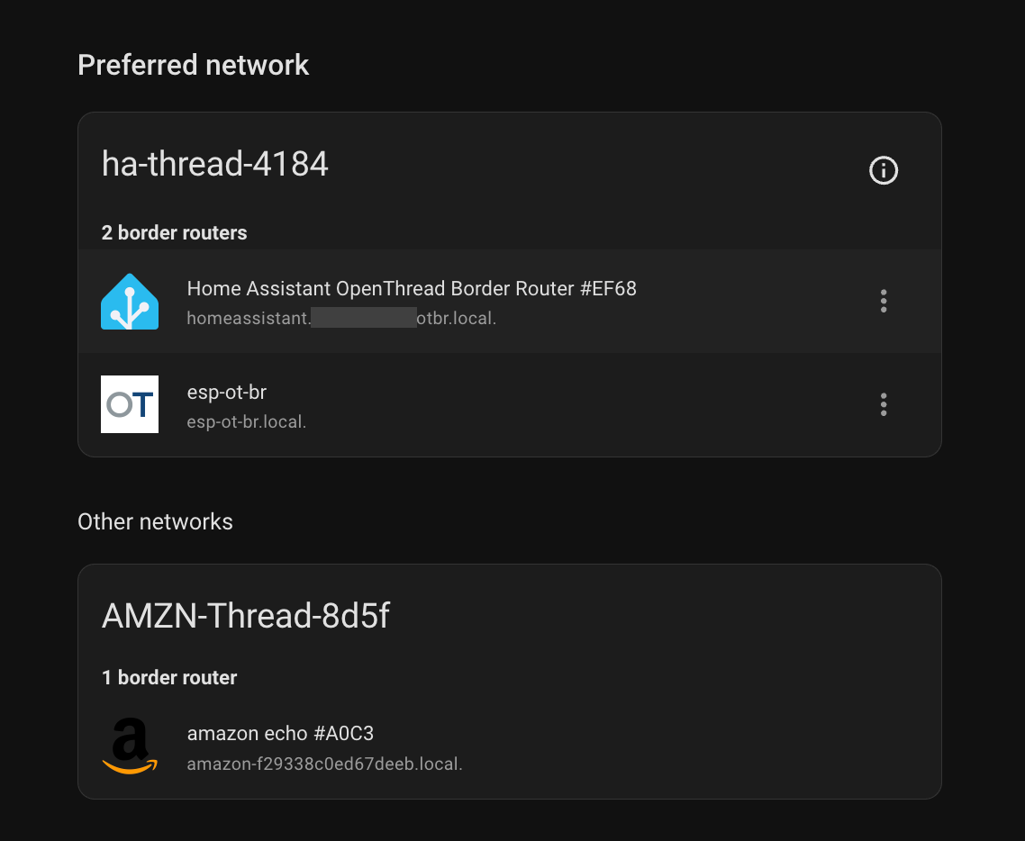 Home Assistant's Thread panel: the preferred network with two border routers, the OpenThread Border Router add-on and esp-ot-br, and the Amazon Echo's network under other networks
